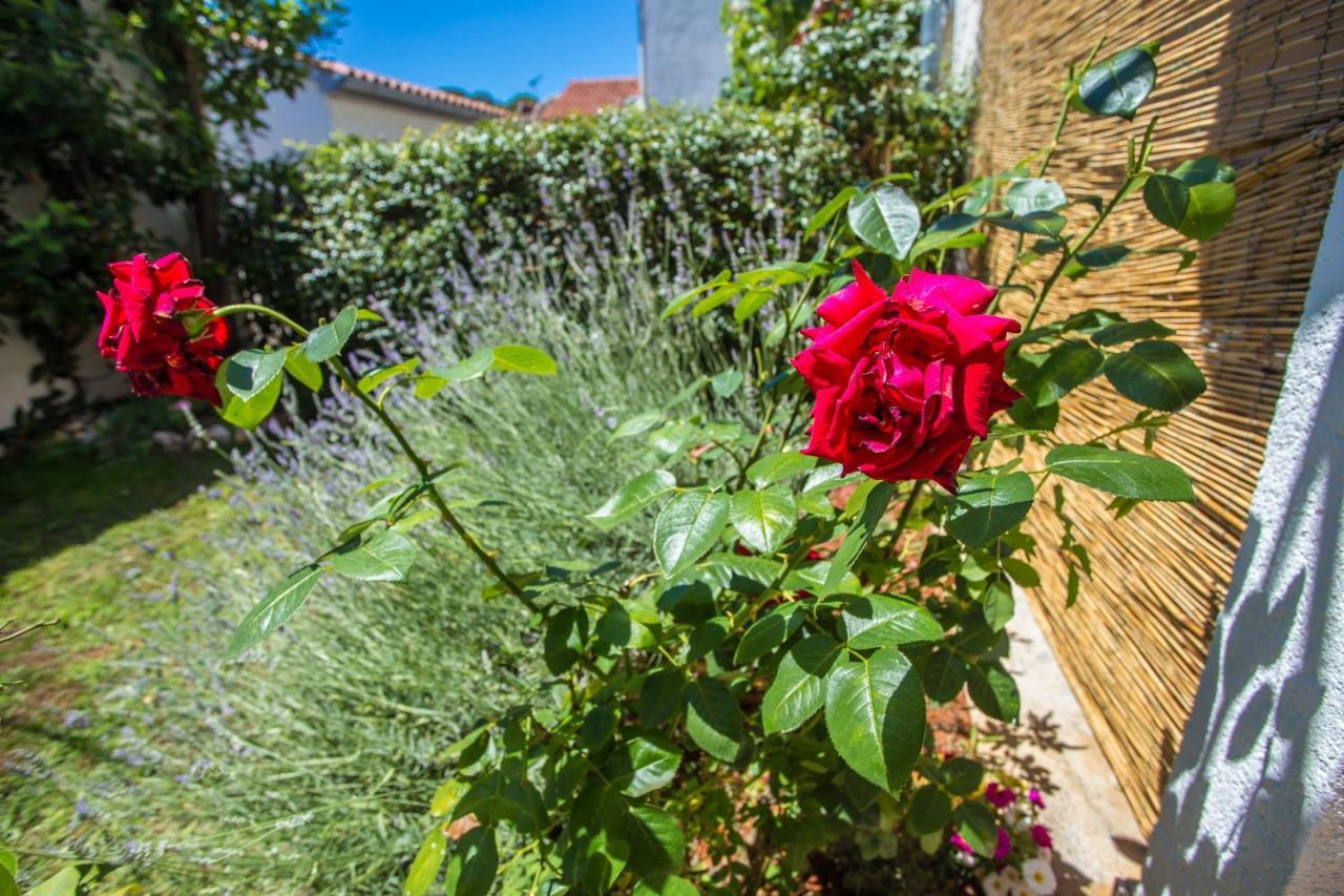 Rosse Apartman