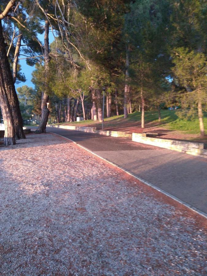 Rosse Apartman